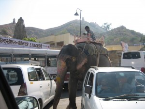 Traffic Jam--Indian Style