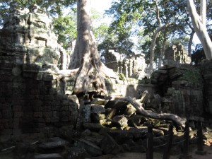 Tomb Raider Temple