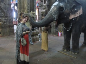The Elephant Loves Her