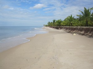 Beautiful Beach