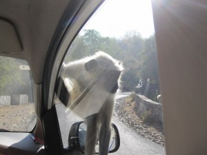 ...On The Car