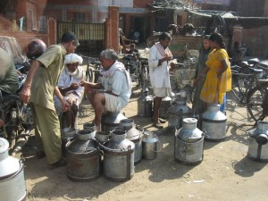 Milk Market (They Stick A Hand Inside To Test It)