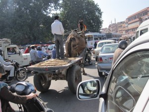 Jaipur Traffic