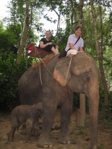 Baby Elephant Is Thristy