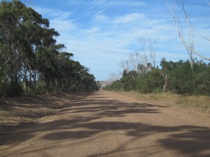 No, Just A Dirt Road