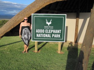 Welcome To Addo!